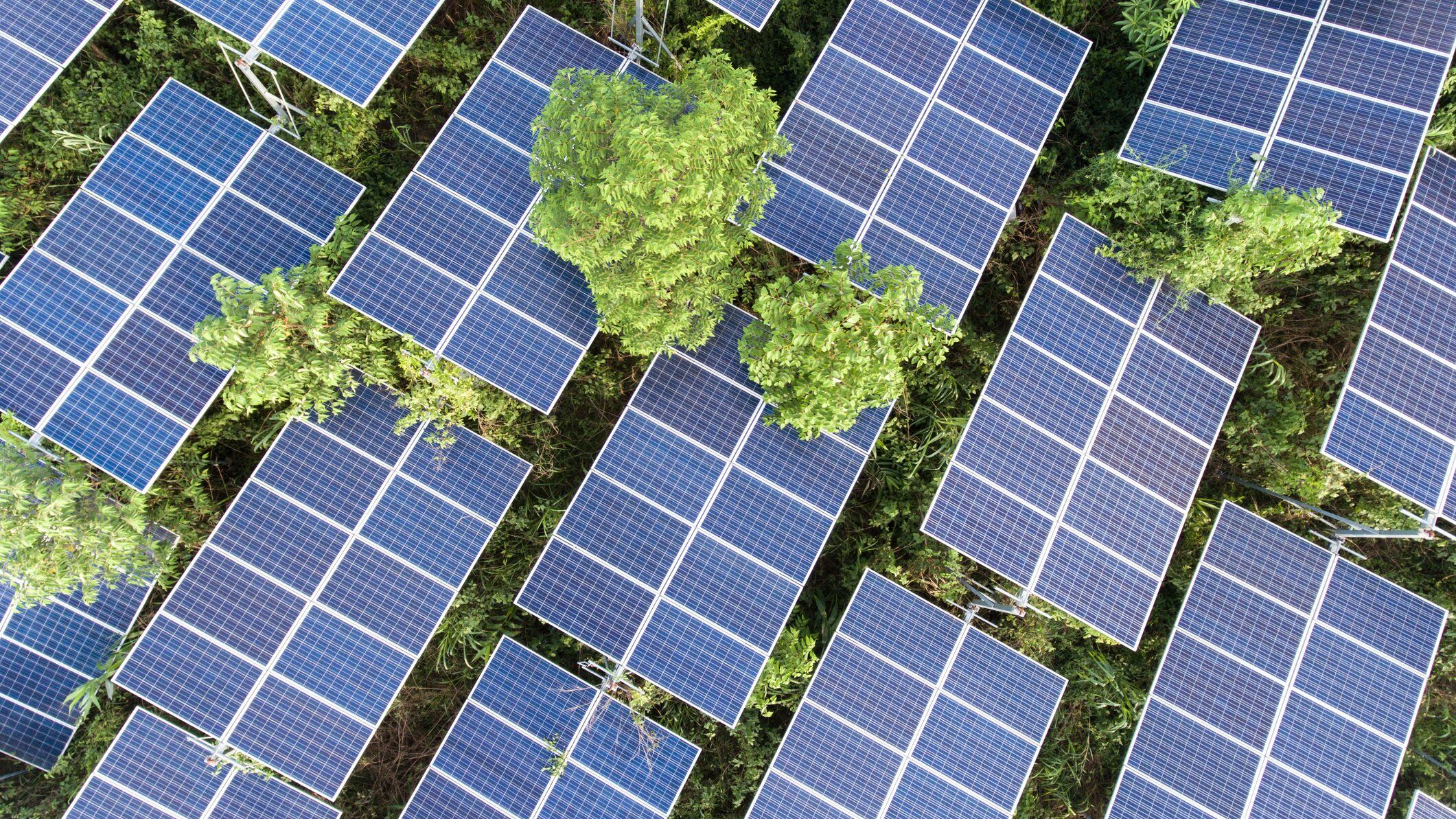 Energía solar