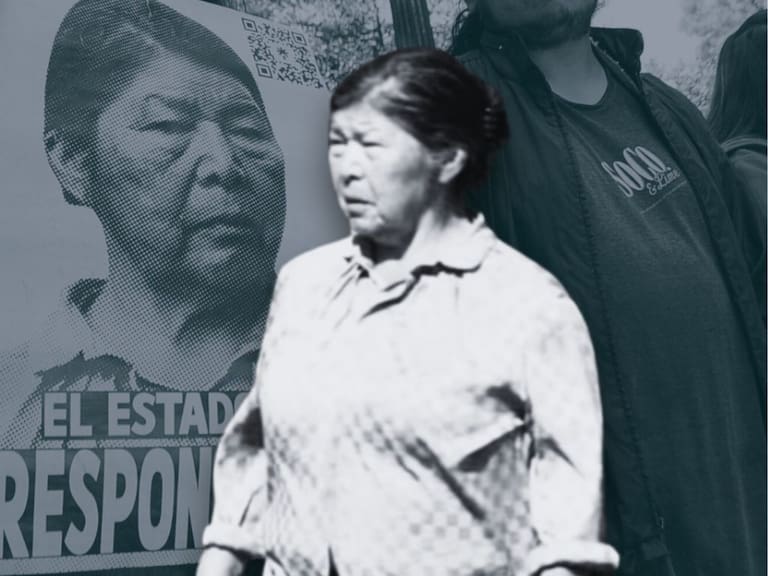 ¿Cómo murió Julia Chuñil? Así habría ocurrido el homicidio de la dirigenta mapuche, según Fiscalía