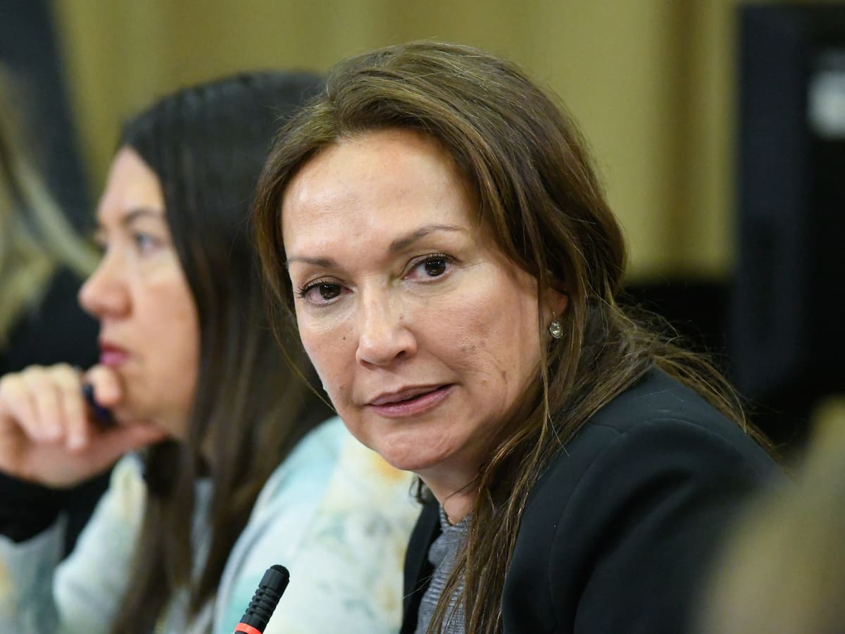 Marisela Santibáñez niega vínculos con Camilo Huerta e imputados del caso Imperio Ámsterdam: “No los conozco”