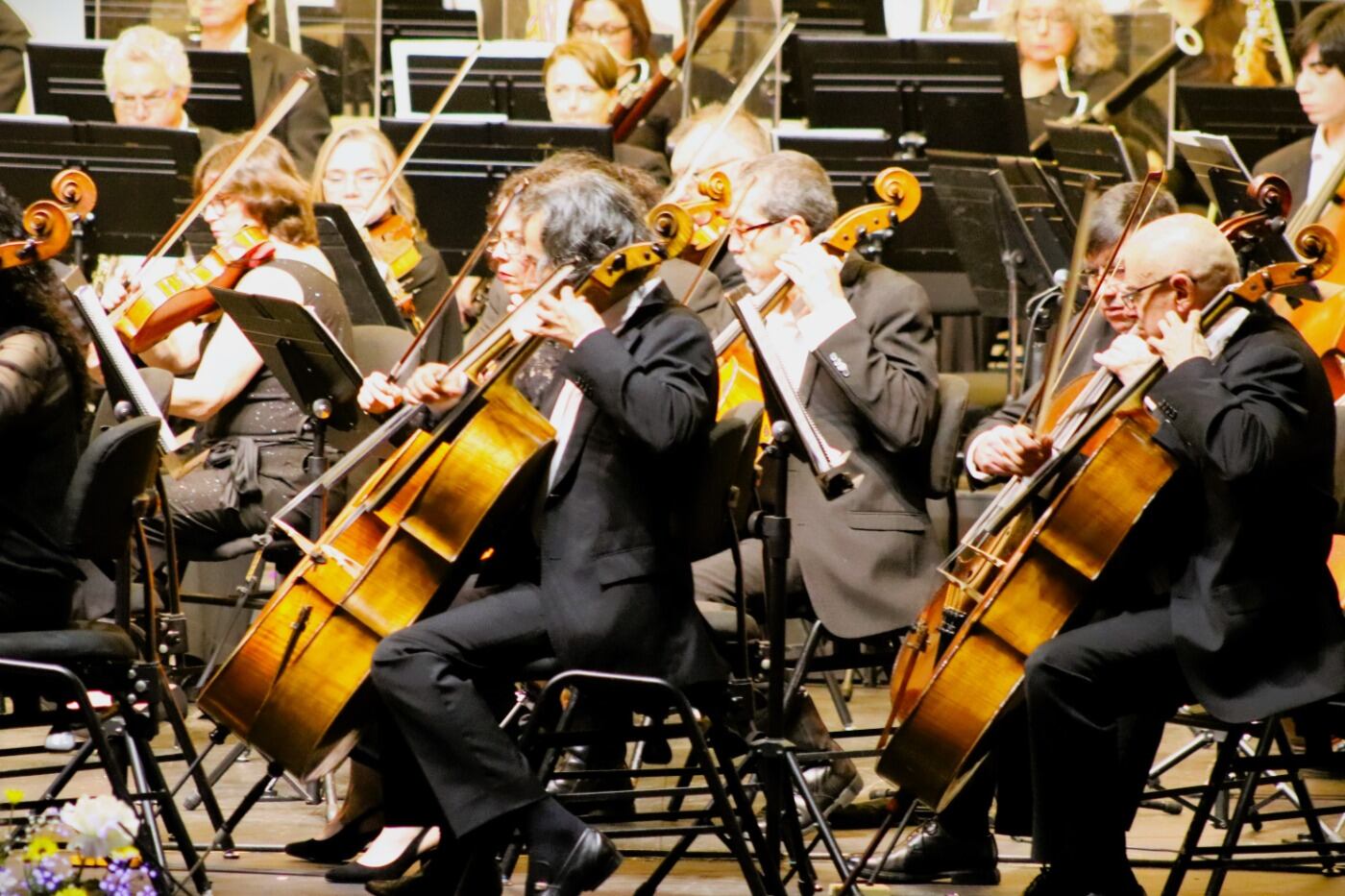Cellos de la Sinfónica Udec