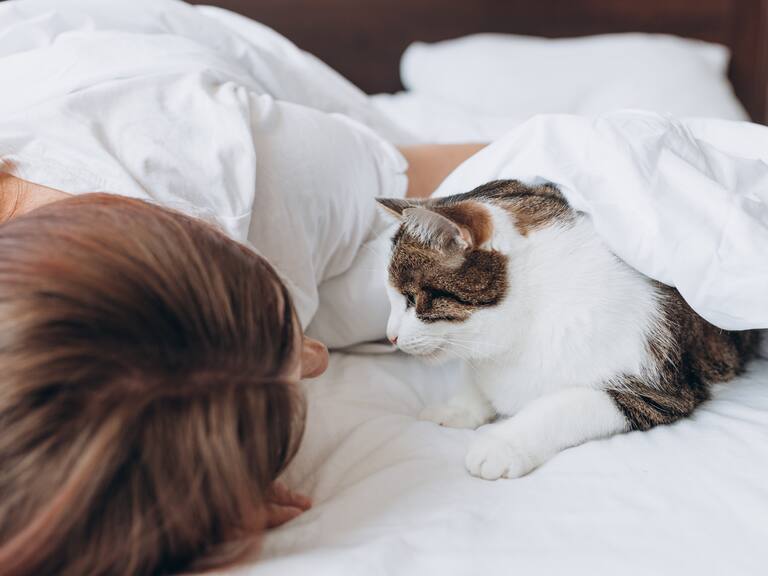 ¿Por qué a los gatos les gusta dormir en la cama de sus dueños? Estos son los motivos