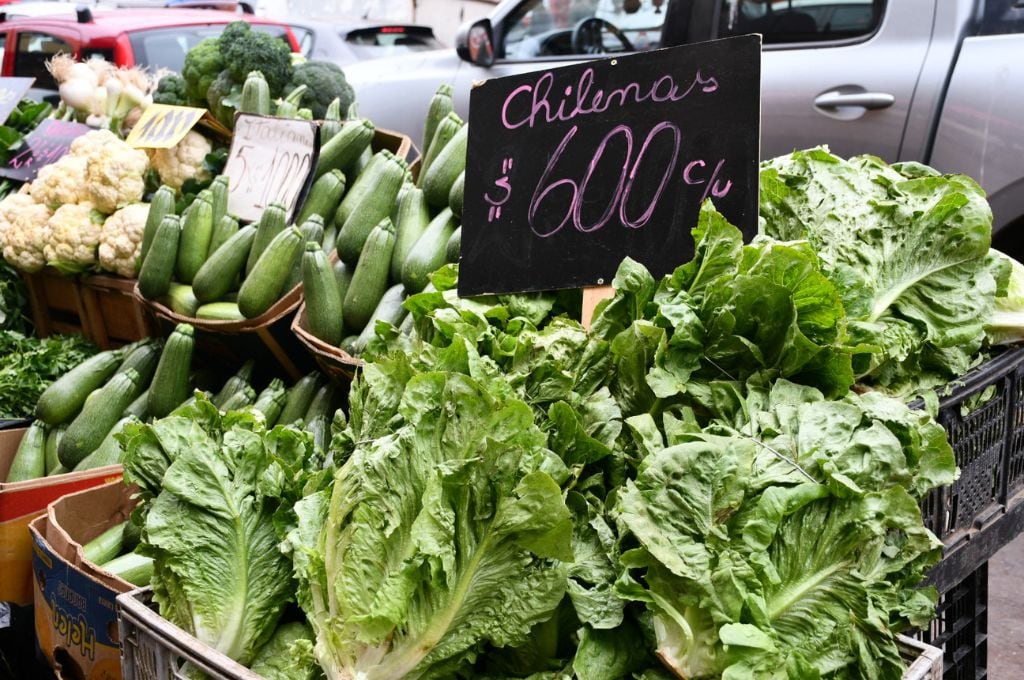 ¿Cómo afectará el sistema frontal a nuestra alimentación? El Doctor Chef nos explica¿Cómo afectará el sistema frontal a nuestra alimentación? El Doctor Chef nos explica¿Cómo afectará el sistema frontal a nuestra alimentación? El Doctor Chef nos explica