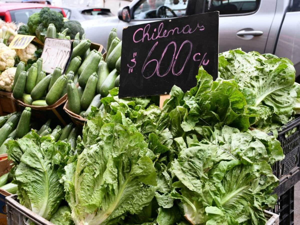 ¿Cómo afectará el sistema frontal a nuestra alimentación? El Doctor Chef nos explica