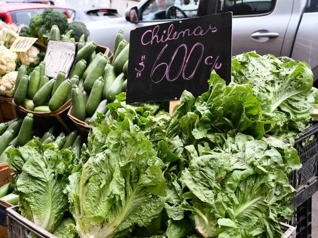 ¿Cómo afectará el sistema frontal a nuestra alimentación? El Doctor Chef nos explica¿Cómo afectará el sistema frontal a nuestra alimentación? El Doctor Chef nos explica¿Cómo afectará el sistema frontal a nuestra alimentación? El Doctor Chef nos explica