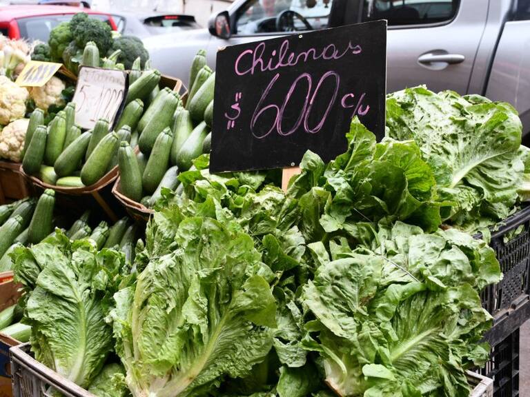 ¿Cómo afectará el sistema frontal a nuestra alimentación? El Doctor Chef nos explica¿Cómo afectará el sistema frontal a nuestra alimentación? El Doctor Chef nos explica¿Cómo afectará el sistema frontal a nuestra alimentación? El Doctor Chef nos explica