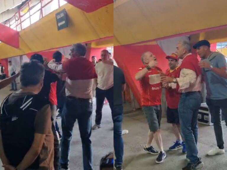 Hinchas de Unión Española protagonizan pelea tras descenso del club: Sabino Aguad, gerente de los “hispanos”, tuvo que intervenir