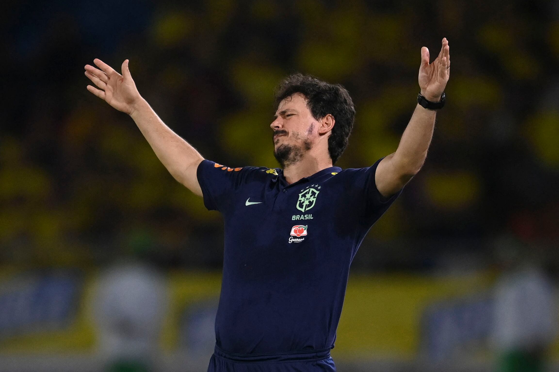 Fernando Diniz recibió un mazazo por parte de la Confederación Brasileña de Fútbol (CBF) | Getty Images