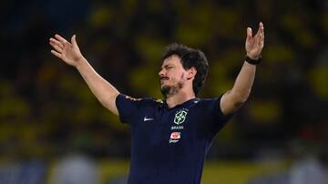 “Crisis verdeamarelha”: la cruda decisión que tomó Brasil con Fernando Diniz