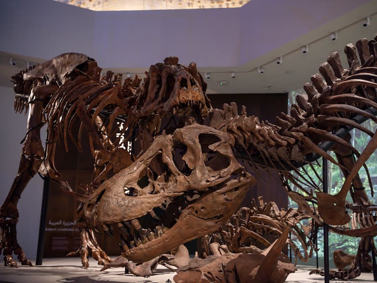 ABU DHABI, UNITED ARAB EMIRATES - (Photo by Waleed Zein/Anadolu via Getty Images)