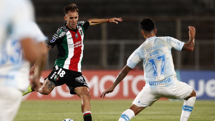 “Zanahoria” Pérez obra el milagro: Palestino rescata un impensado empate ante Gremio en Copa Sudamericana