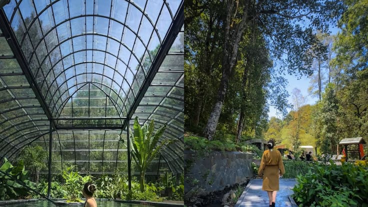 Un palacio de cristal: Chile tiene el primer Parque Termal Botánico del mundo (y así se puede visitar este verano)