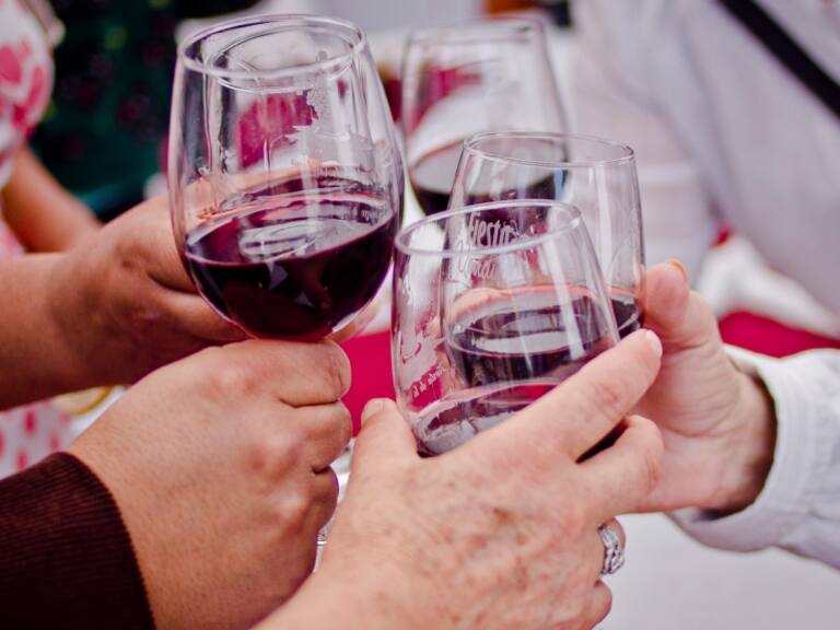 Fiesta de la Vendimia en Santiago