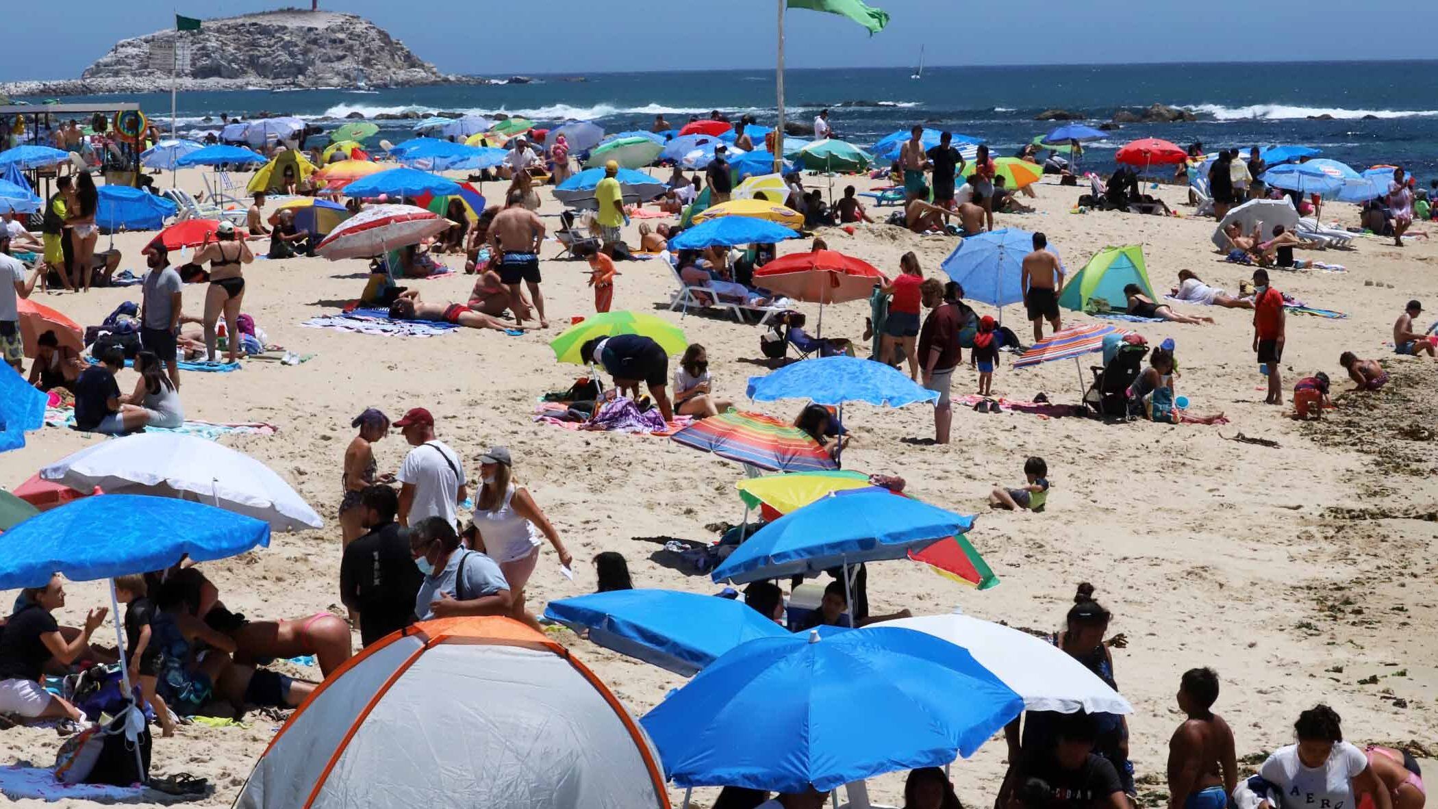 Algarrobo