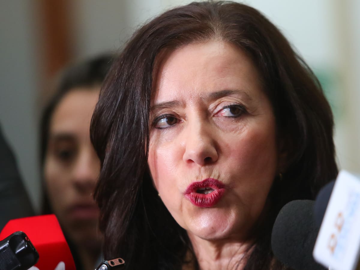 Fiscal Perivancich, designada para investigar filtraciones de chats, responde a críticas oficialistas: “Al parecer no conocen nuestros resultados”