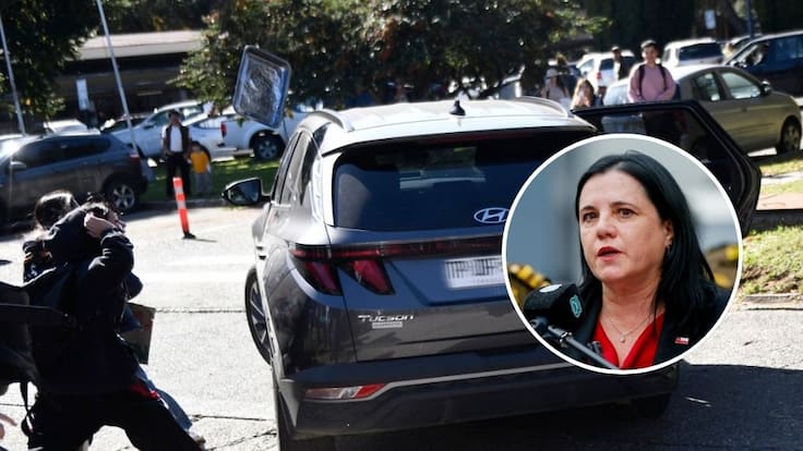 Ministra Steinert valora detención de tres estudiantes por agresión a Lincolao: “La violencia nunca es aceptable”