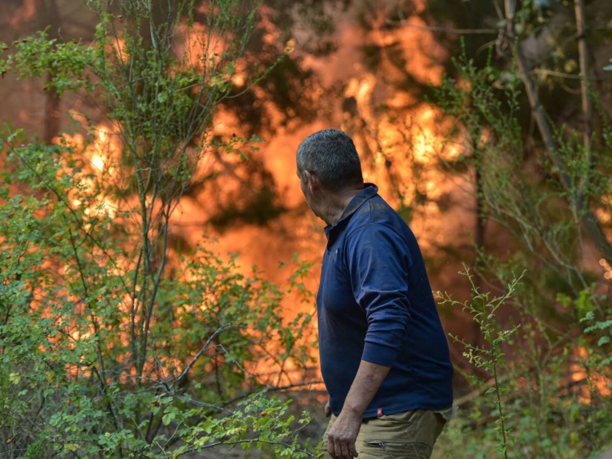 “No hay antecedentes”: Fiscalía aborda tesis de ministra Tohá sobre vínculo entre intencionalidad de los incendios y reivindicaciones de tierra