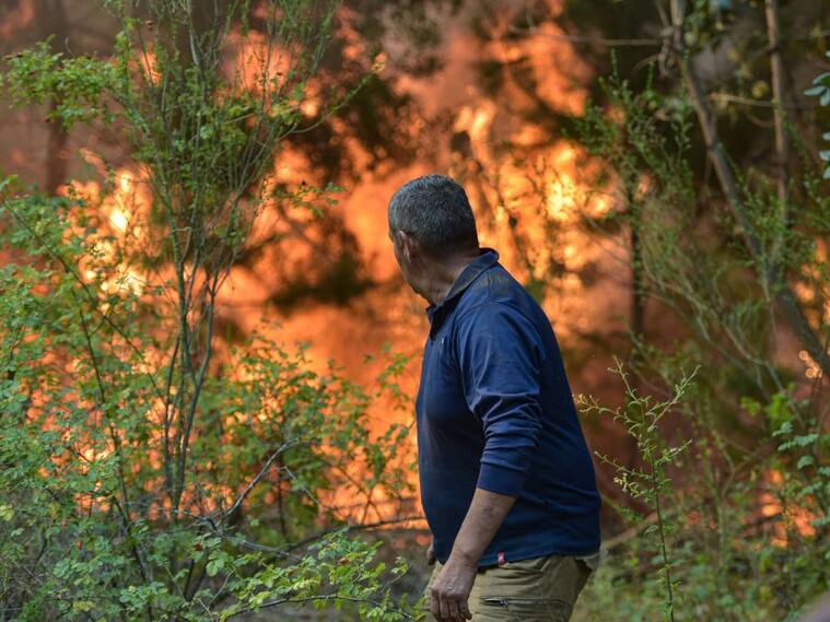 Incendio forestal en Limache: decretan Alerta Roja por avance de siniestro cercano a viviendas