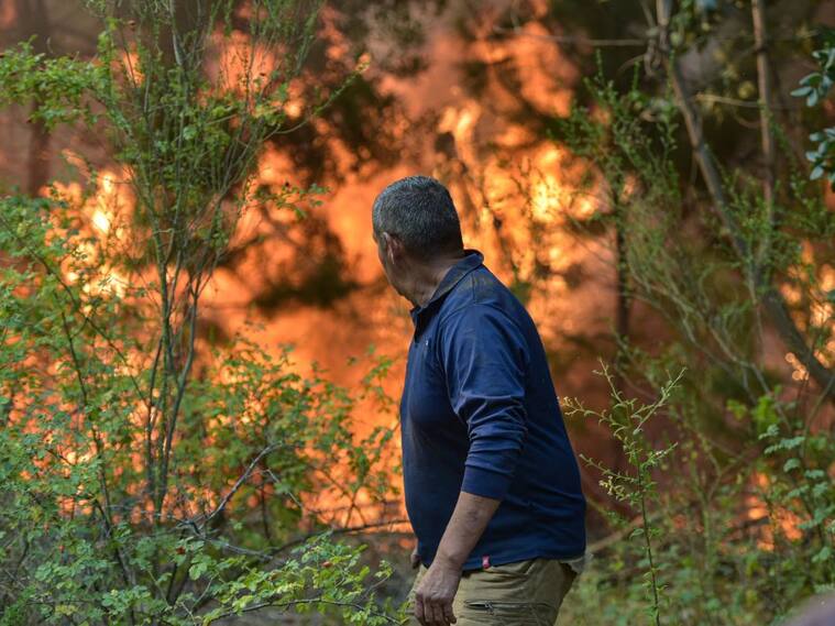 Senapred declara alerta roja para la comuna de Ercilla por incendio forestal