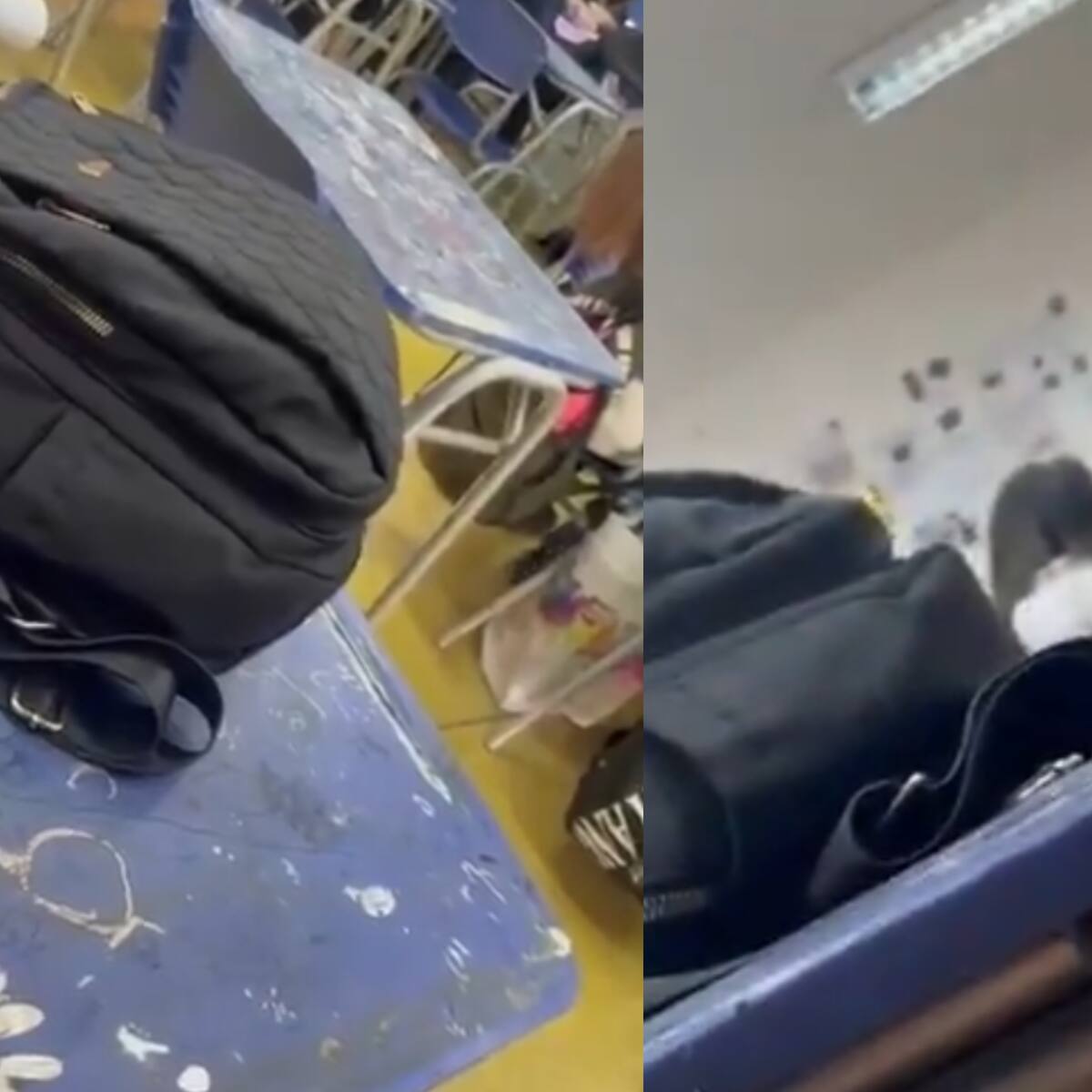 “¡Cállate, te dije!”: Profesor del Liceo de Limache es grabado agrediendo verbalmente a alumna que habló de Pinochet