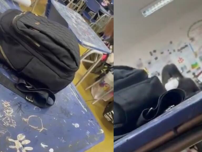 “¡Cállate, te dije!”: Profesor del Liceo de Limache es grabado agrediendo verbalmente a alumna que habló de Pinochet