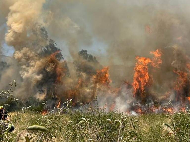 Descontrolado incendio se registra en Codegua cercano a sectores poblados