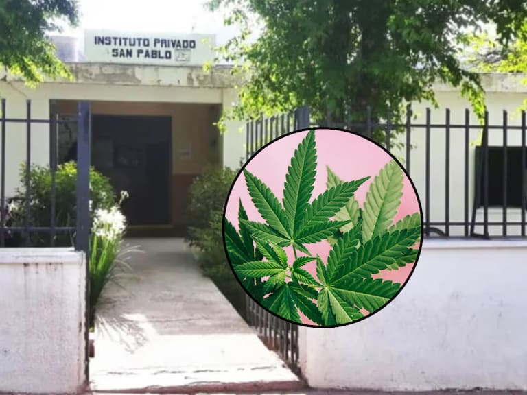 Eran ofrecidos en el recreo: alumnos de colegio católico son sorprendidos vendiendo brownies con marihuana en Argentina