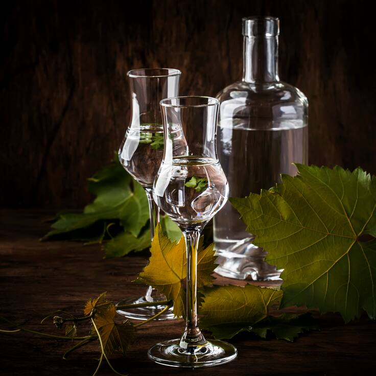 Denominación de origen y tradición familiar: los secretos que definen la identidad única del pisco chileno