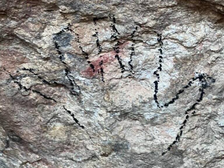Conaf denunció daño patrimonial en el Parque Nacional Patagonia: desconocidos rayaron pinturas rupestres