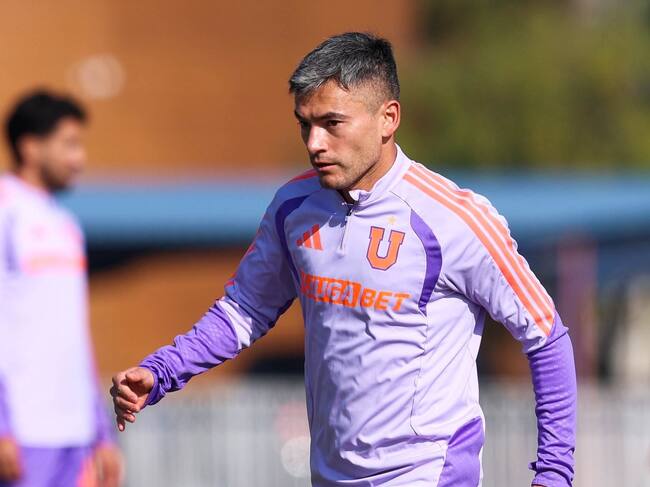 @udechile
