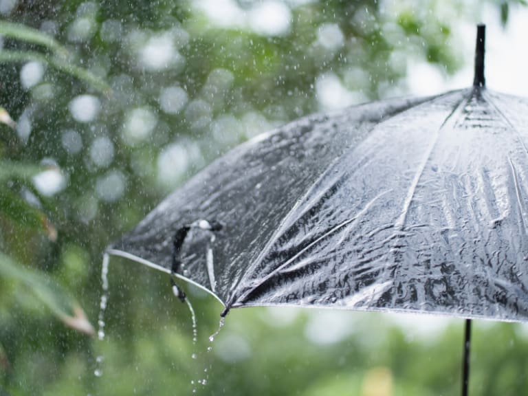Meteorología emite alertas por vientos y lluvias de hasta 80 mm en Chile: estas serán las 8 regiones afectadas