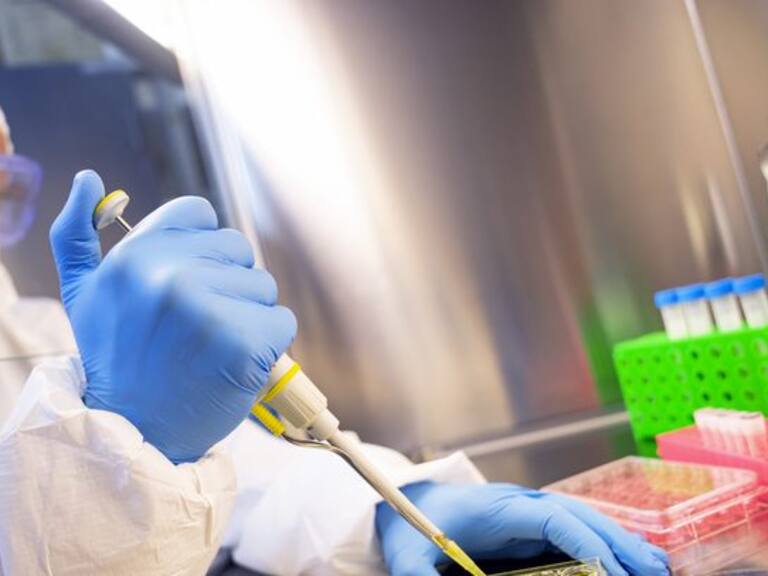 Primeras señales de una vacuna eficaz contra el Covid-19 podrían estar en el otoño del hemisferio norte