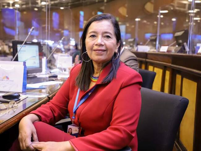 La diputada Guadalupe Llori del partido indígena Pachakutik