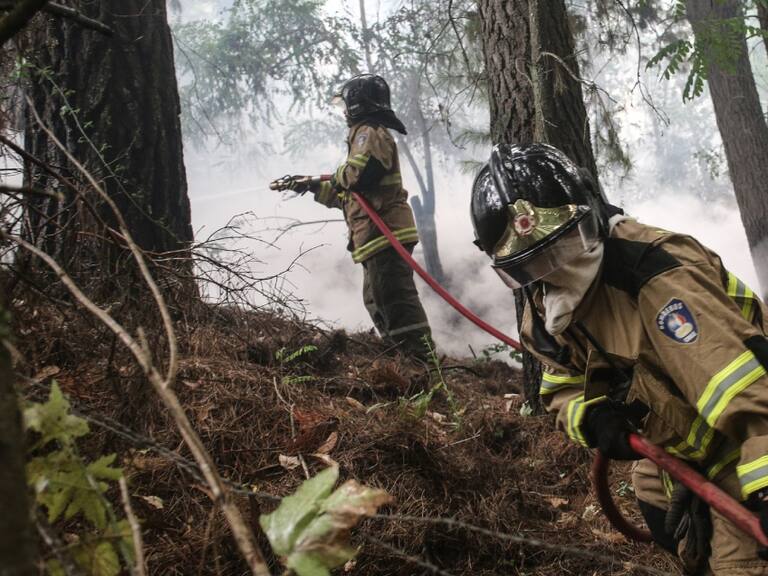 Incendios forestales han consumido más de 330.000 hectáreas: 89 de estos se encuentran en combate