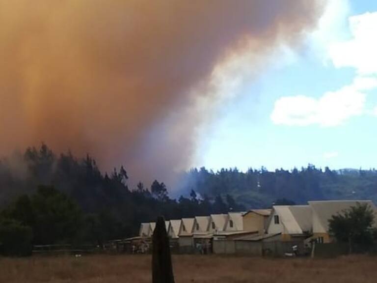 Más de 1.200 personas fueron evacuadas en Purén tras avance de incendio forestal