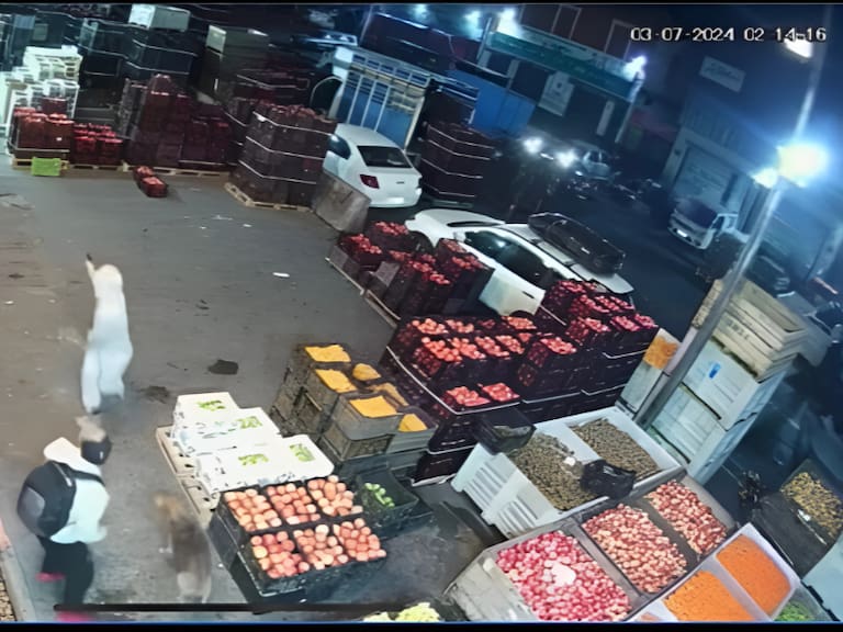 Detienen a ciudadano extranjero por su presunta participación en un homicidio en la Vega Central