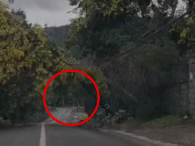 Árboles caídos se registran en el camino entre Lo Barnechea y Las Condes debido al sistema frontal en Chile