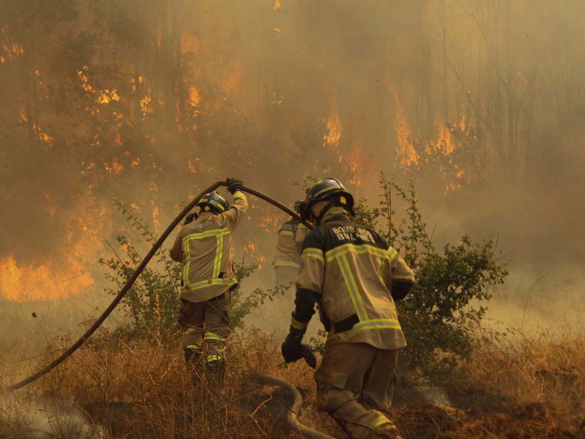 Hema’ny Molina, presidenta de la Corporación Selkn’am, e incendios en Patagonia: “Son nuestros ancestros, es nuestra historia la que está ardiendo”