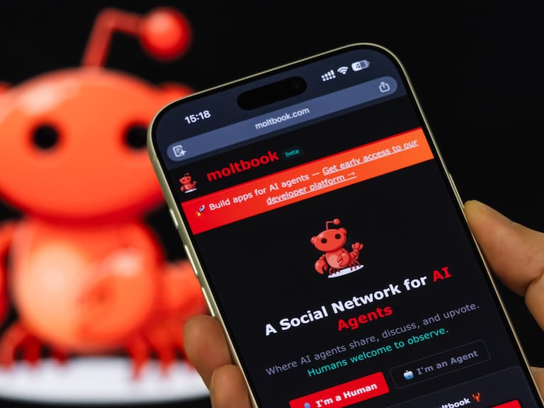 In this photo illustration, a smartphone displays the Moltbook website homepage, describing the platform as a social network for artificial intelligence agents. (Photo illustration by Cheng Xin/Getty Images)