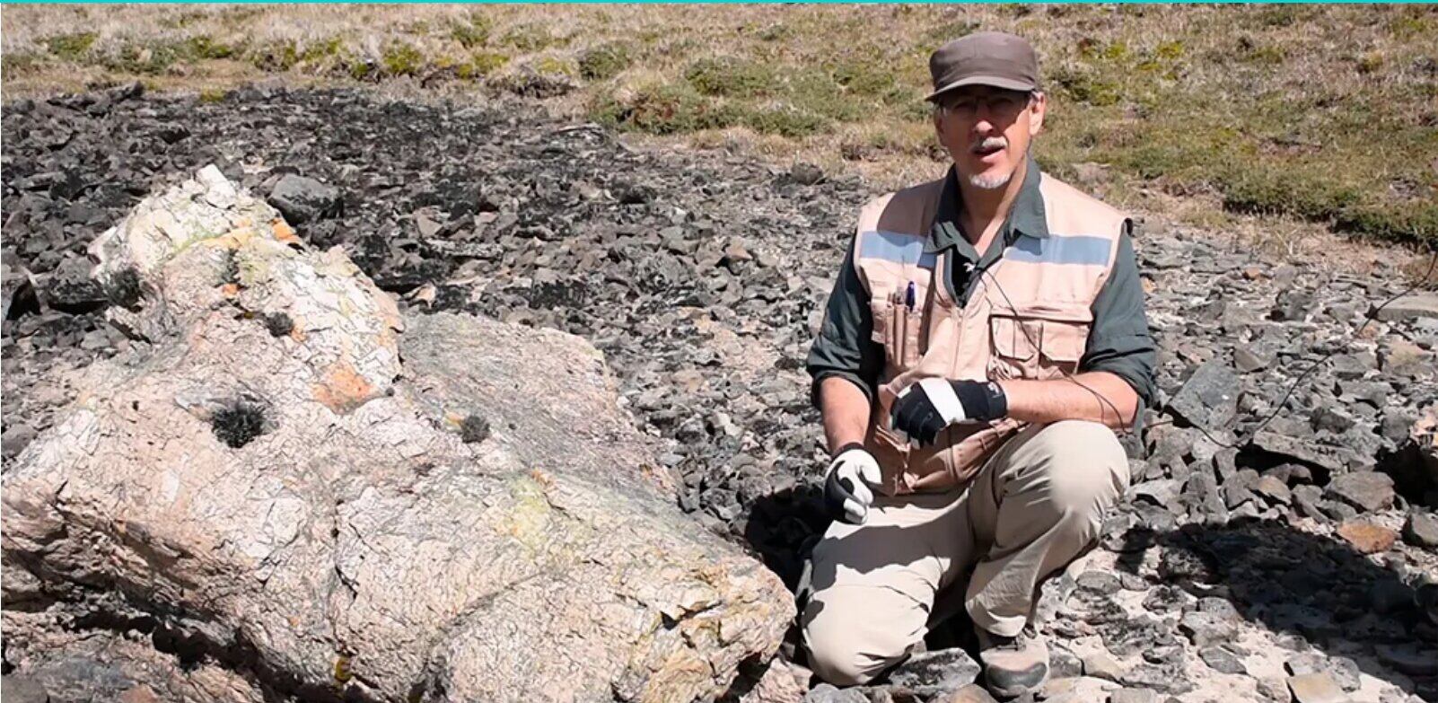 Científicos descubren más de mil fósiles en Aysén de los últimos 150 millones de años