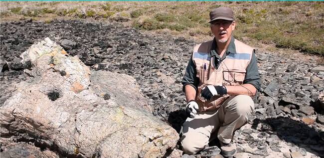 Científicos descubren más de mil fósiles en Aysén de los últimos 150 millones de años
