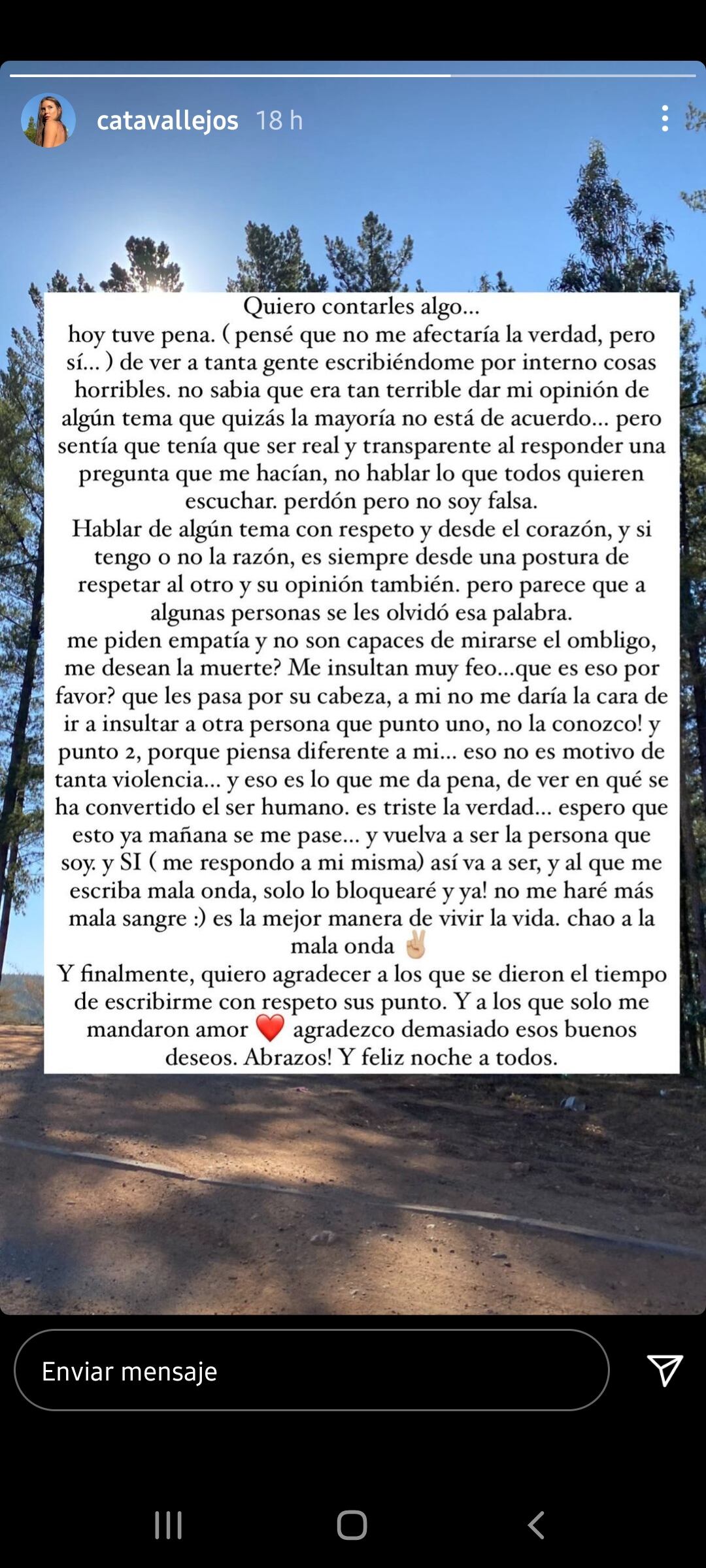 Instagram @catavallejos