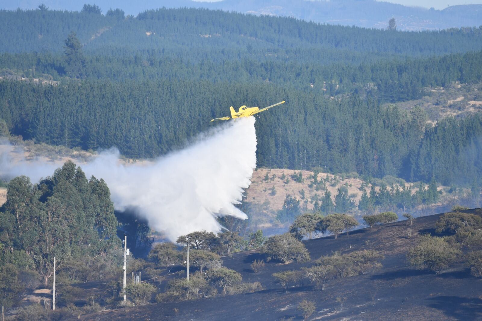 Incendio forestal en Cauquenes sigue bajo Alerta Roja