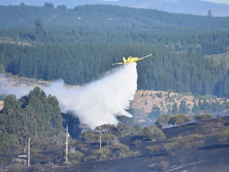 Incendio forestal en Cauquenes sigue bajo Alerta Roja