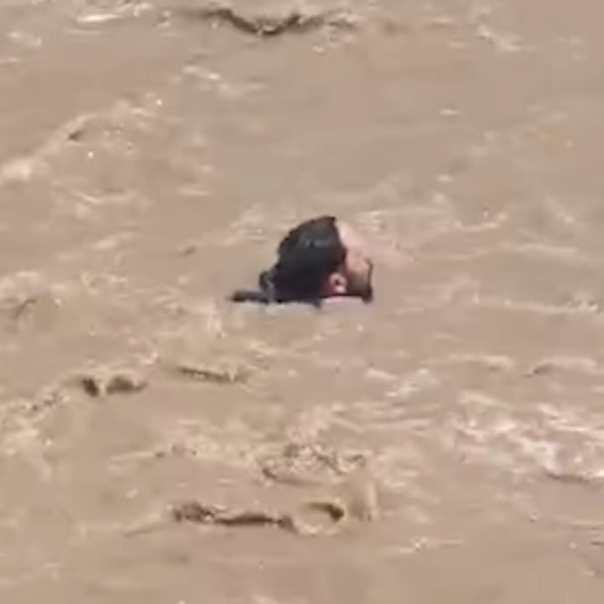 Hombre escapa de fiscalización lanzándose al canal San Carlos y recorre 6 kilómetros por el río Mapocho