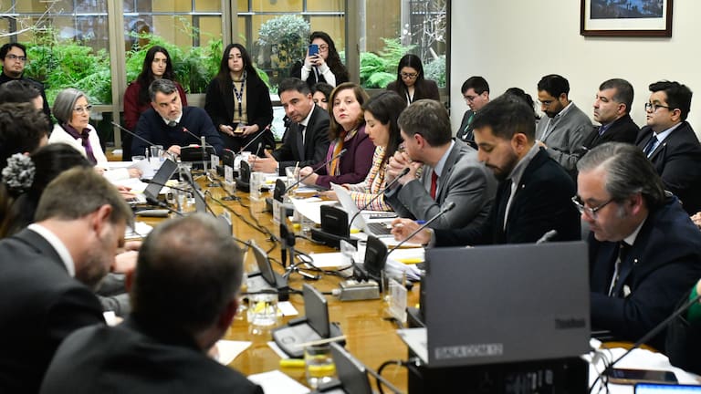 ¿Por qué el TC mandó a diputados y senadores a rehacer sus requerimientos contra la megarreforma?