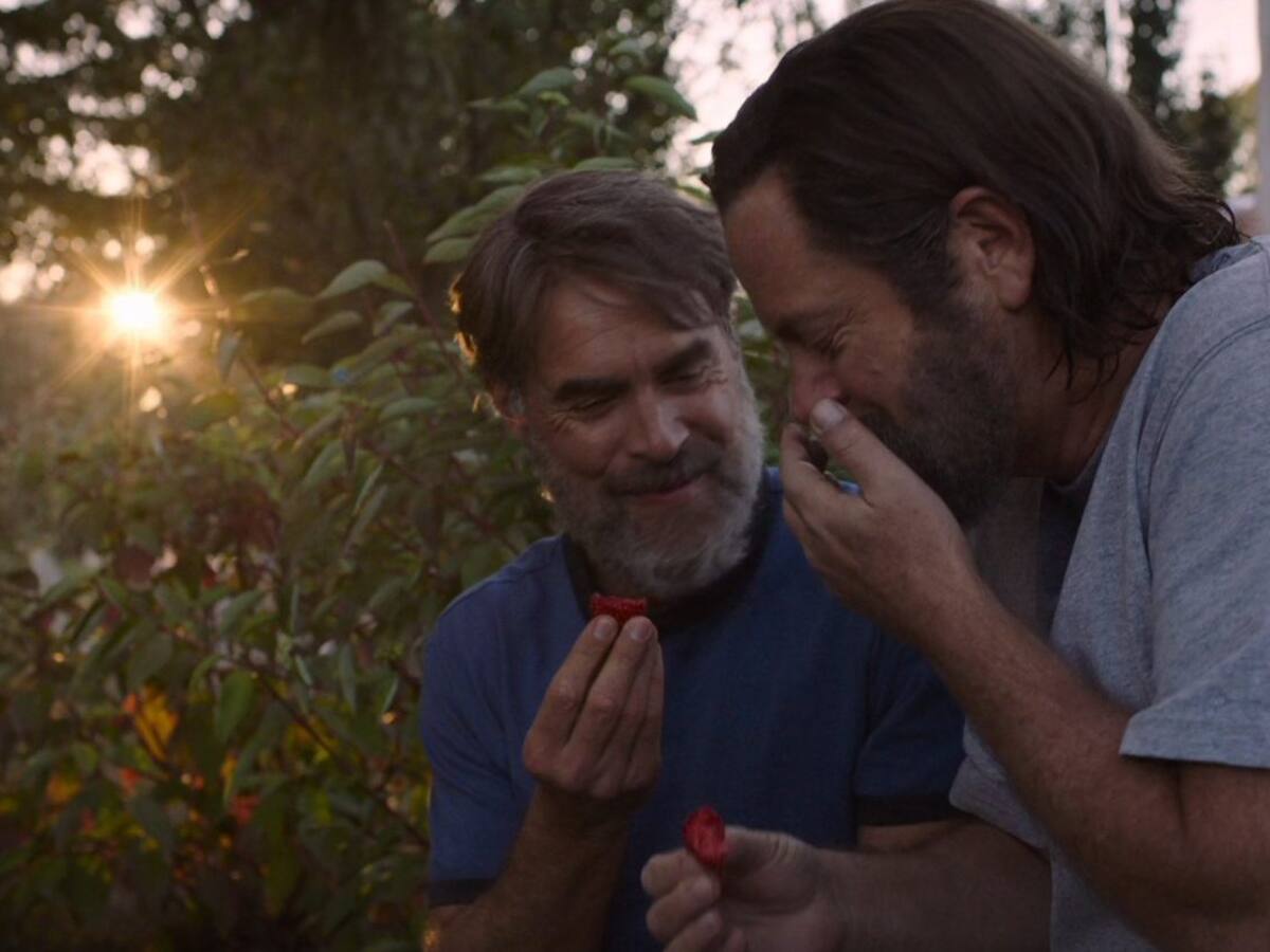 «Había una persona a la que valía la pena salvar»: historia de amor entre Bill y Frank conmovió a los fanáticos de The Last of Us