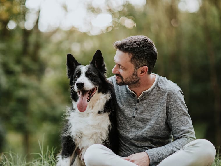 Primer caso a nivel mundial: científicos chilenos detectan variante Ómicron en perros