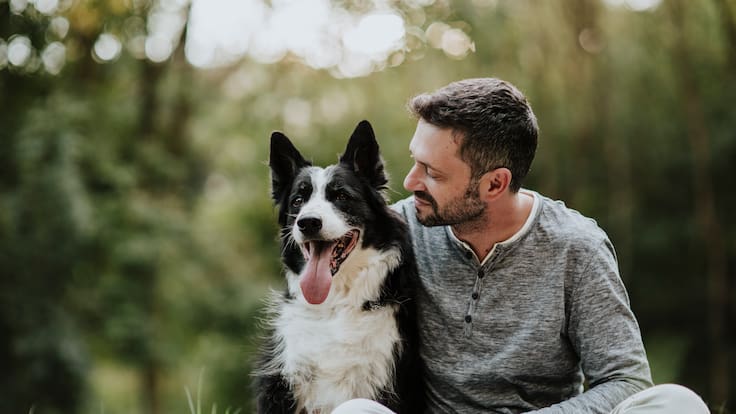 Primer caso a nivel mundial: científicos chilenos detectan variante Ómicron en perros