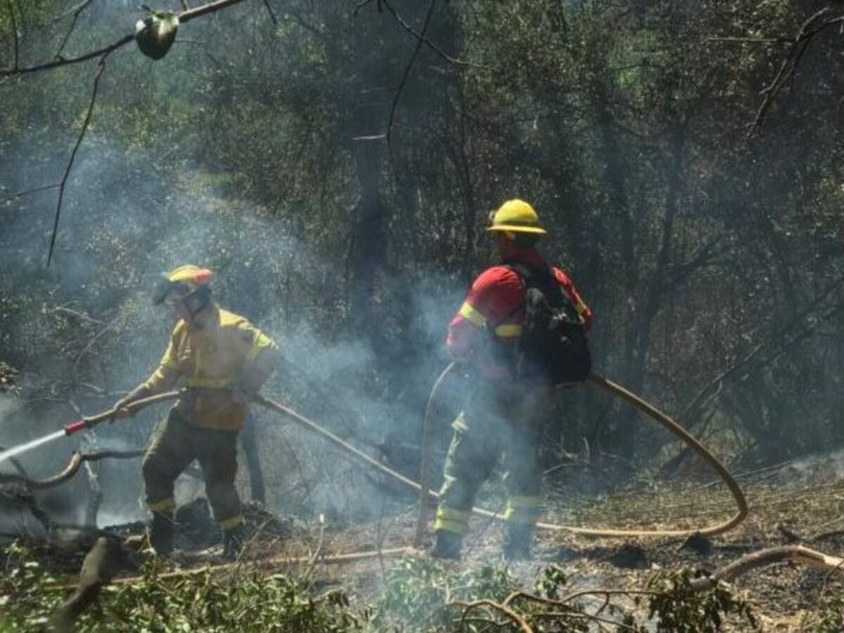 Onemi decretó alerta amarilla para toda La Araucanía por incendios forestales: fuego ha destruido más de 1.700 hectáreas