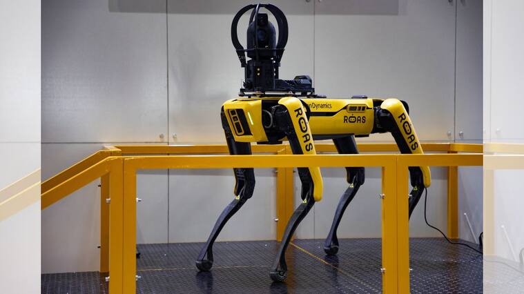 Perro robot, robot dog, doggo robot, 1024x576 jpg ok